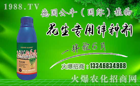 ������ţ��ף������µ�һ���﹤�����������������