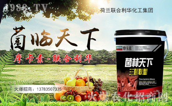 ��(li��n)�����A��ף������µ�һ�������w�������f(w��n)��������