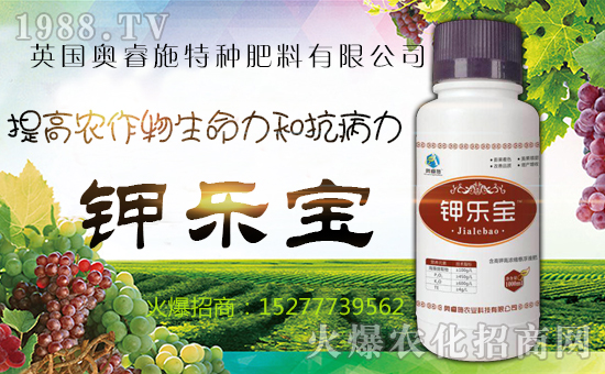 Ӣ���W�ʩ�طN�������޹�˾