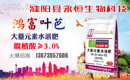 ���������ף������µ�һ���﹤�����������������