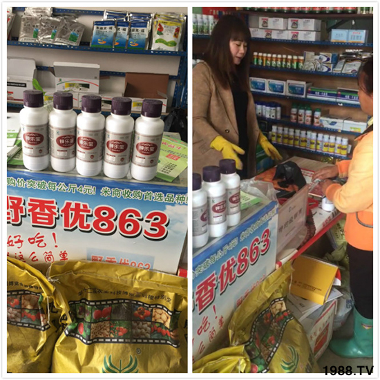 Ӣ���W�ʩ�طN�������޹�˾