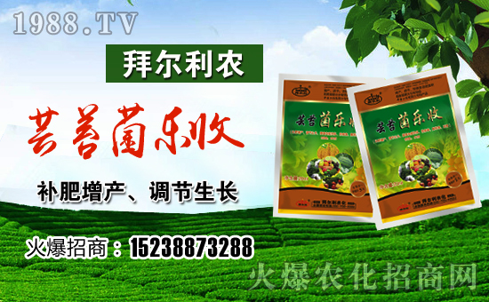 【拜爾利農(nóng)】祝大家順順利利,紅紅火火!