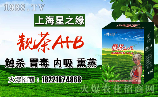 �n��A+B���b�M��-��֮��