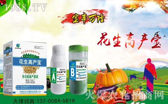 �����S�f¡��ף������µ�һ�����Ҹ����M���H�Қg����