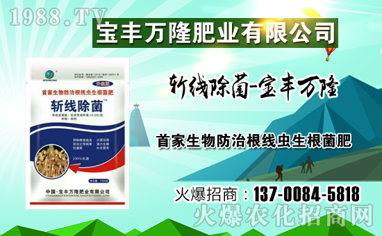 �����S�f¡��ף������µ�һ�����Ҹ����M���H�Қg����