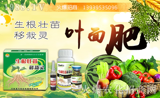 ���G���ֲ�ף������µ�һ�������w�������f(w��n)��������