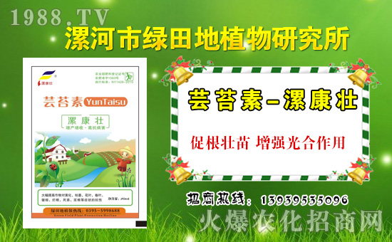 ���G���ֲ�ף������µ�һ�������w�������f(w��n)�����⣡