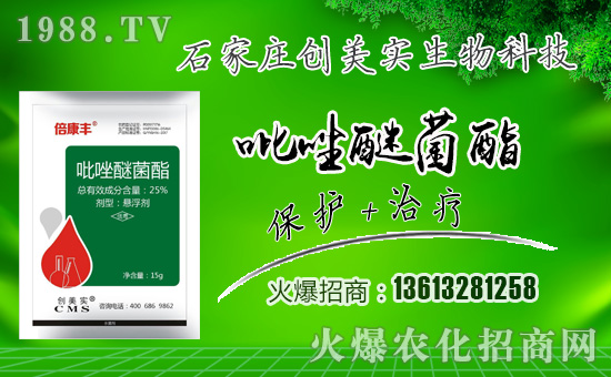 ����(chu��ng)�������ףȫ���������µ�һ���﹤�����������������