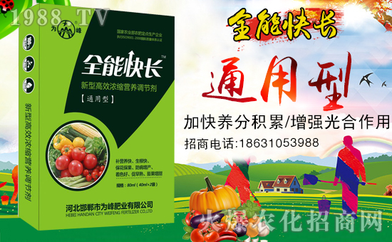 �����ʘI(y��)��ף������µ�һ����ؔԴ�L�L����