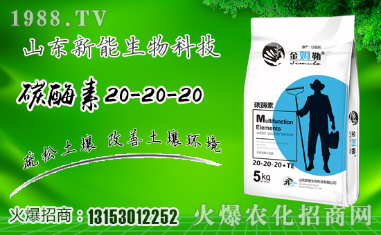 ���������ף�������옷���f�����⣡