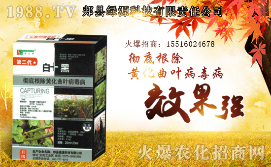 【綠源科技】祝大家在新的一年里身體健康!心想事成!萬(wàn)事如意!