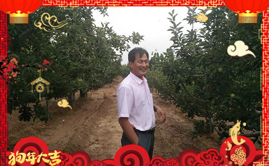 ����������ʘI(y��)��ȫ�w�T����ף���Ͽ͑�����옷�������³���