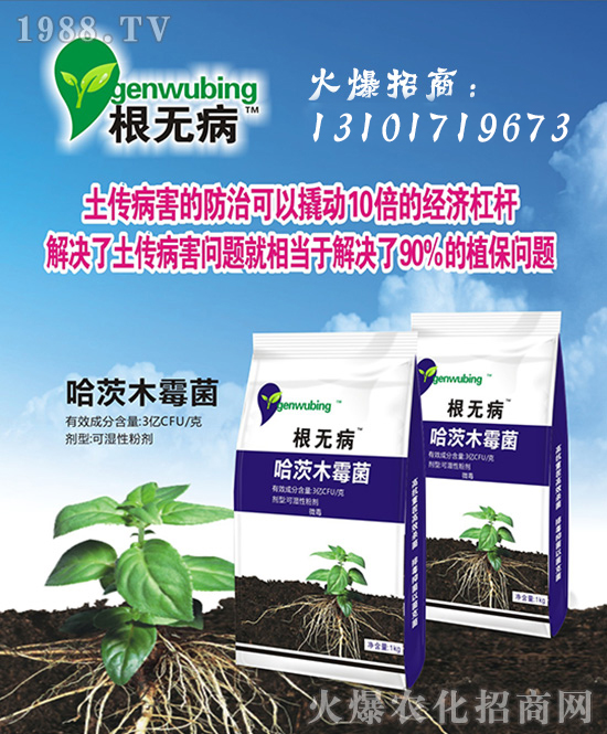 ���Ї����z��ʩ��ȫ�w�T����ף�V������͑�����옷���f��������