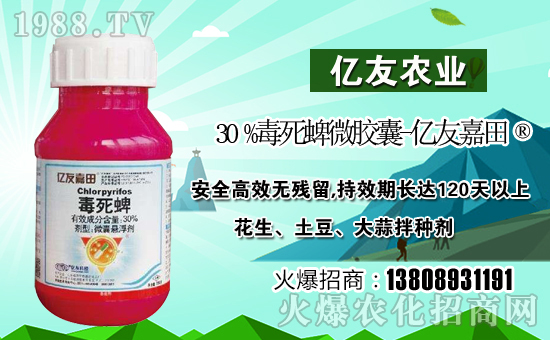 ����(j��)�σ|���r(n��ng)�I(y��)��ףȫ���������µ�һ�����Ҹ����M���H�Қg����