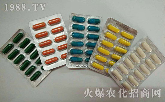 �����˳����ȫ�w�T��ף��Ҽ���l(f��)ؔ(c��i)�������³���