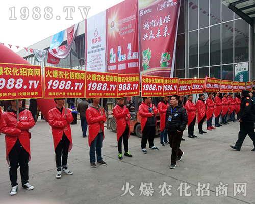 Ҫ����������1988.TV�ذ�����2018�ӱ�ֲ������