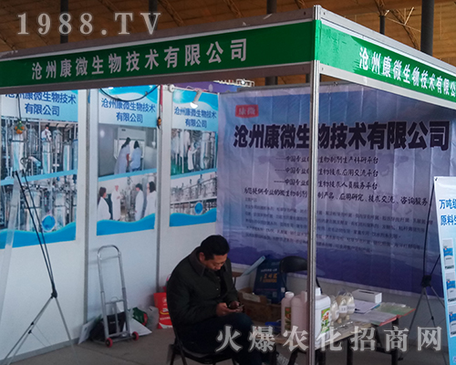 ���ݿ�΢������2018�ӱ�ֲ��������Ч����