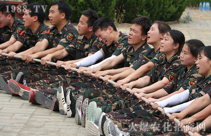 һ·���_(k��i)��һ·��������ʮ�꣬�ġ��ġ����l(f��)��