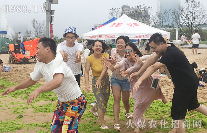 һƬ����һȺ����һ������һ������