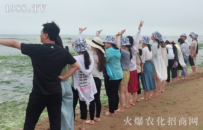 ���u�����ĵ��w��(hu��)