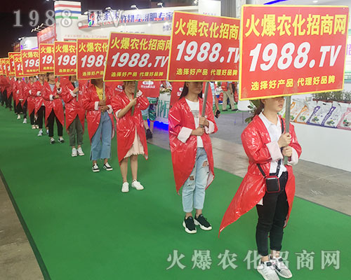 2018�����r(n��ng)�Y����1988.TV�����������ݲ��ɓ�