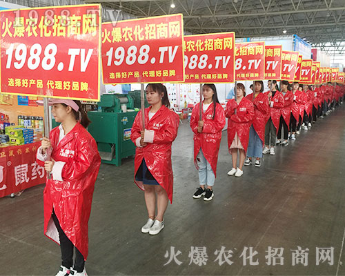 2018�����r(n��ng)�Y����1988.TV�ٴγɞ�ȫ�����c��