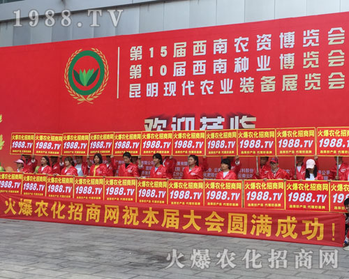 �o̎�����r(n��ng)���W(w��ng)���M�۱M�ǻ𱬼t��