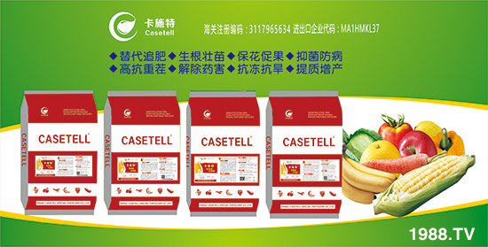 ����ɫ�п�ʩ�ء�ף��ҡ��¡����o(w��)�ȣ�����������¡���s��