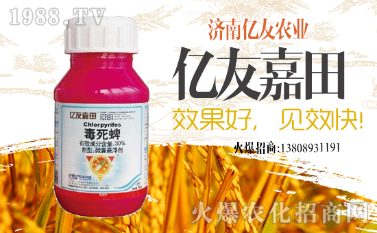 【億友農(nóng)業(yè)】祝大家在新的一年里工作順利,步步高升!