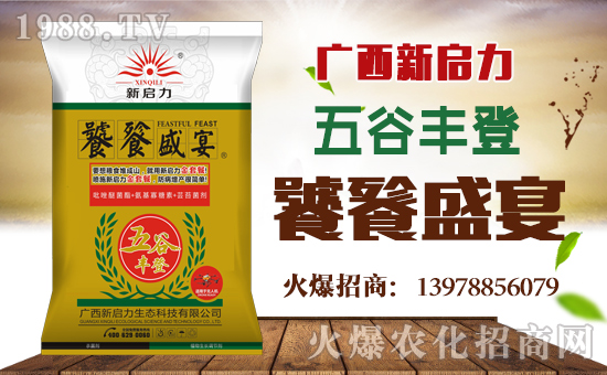     ���V��������ף������µ�һ�������w�������f��������