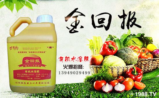 【金回報(bào)農(nóng)業(yè)】祝大家在新的一年里身體健康!心想事成!萬事如意!