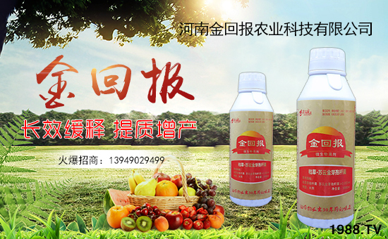 【金回報(bào)農(nóng)業(yè)】祝大家在新的一年里身體健康!心想事成!萬事如意!