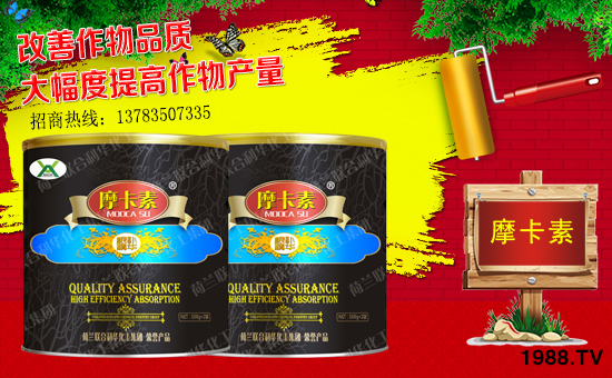 ����о���H��ף������µ�һ�������w���������������