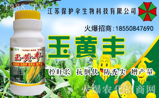 �����o(h��)�����ףȫ���������µ�һ���﹤�����������������