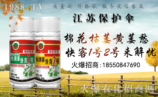 �����o(h��)�����ףȫ���������µ�һ���﹤�����������������