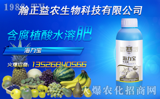 ��������r(n��ng)��ף������µ�һ���������d¡���f�����⣡4