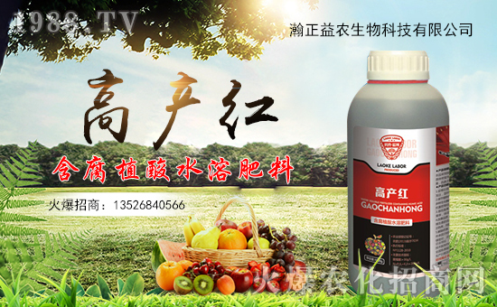 ��������r(n��ng)��ף������µ�һ���������d¡���f��������