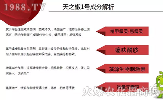 �����ϝM��t��ף������µ�һ���﹤�����������������