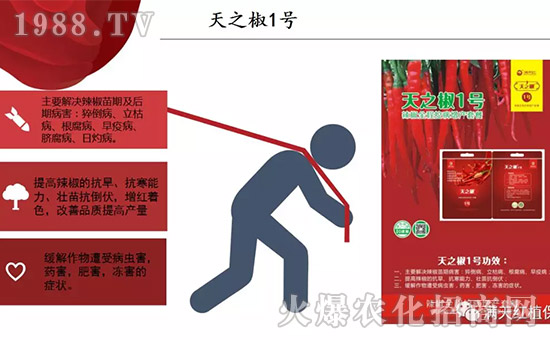 �����ϝM��t��ף������µ�һ���﹤�����������������