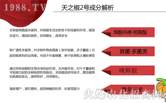 �����ϝM��t��ף������µ�һ���﹤�����������������