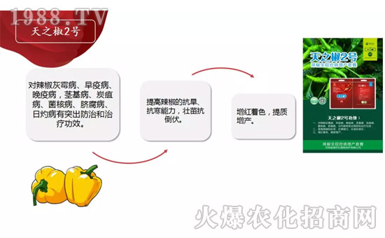 �����ϝM��t��ף������µ�һ���﹤�����������������