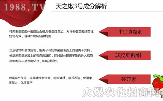 �����ϝM��t��ף������µ�һ���﹤�����������������