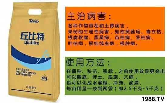 【施能達(dá)】恭祝大家身體健康、闔家幸福、豬年大吉!