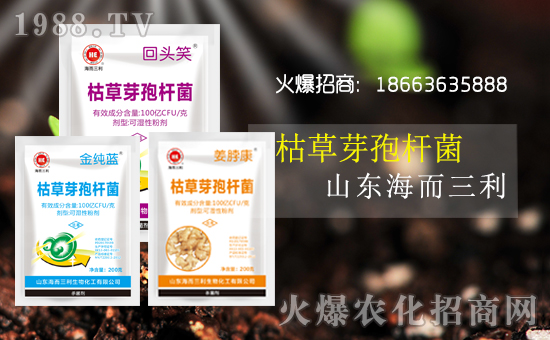 辭舊迎新心歡暢,夢想激情齊飛翔,事業(yè)榮譽(yù)共輝煌,國強(qiáng)家富譜華章,健康平安都點(diǎn)亮,快樂幸福駐久長!山東海而三利生物化工有限公司恭祝大家豬年吉祥,福運(yùn)無疆,生意興隆,萬事如意!