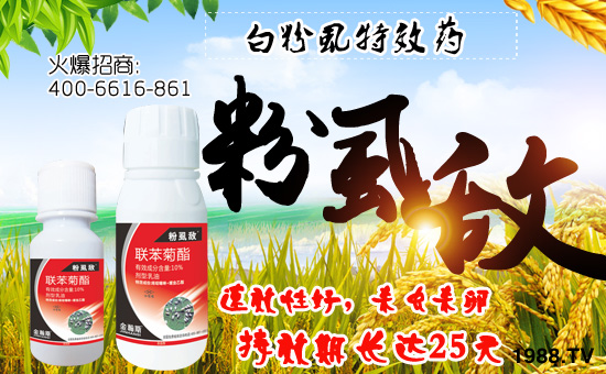 【金瀚斯農(nóng)業(yè)】祝全國(guó)朋友身體健康,萬事如意!