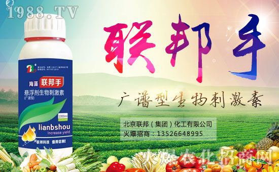 ������(li��n)�����ף�������옷�����¶�࣡