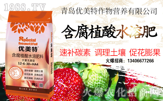 ����(y��u)�������ףȫ���������w�������f��������