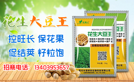 ��ϲ�������ףȫ����(j��ng)�N������A�M�������������������