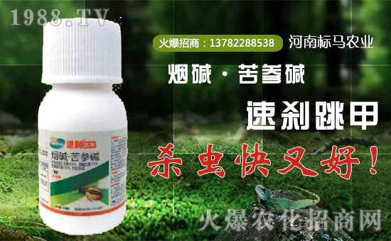 ����(bi��o)�R�r(n��ng)�I(y��)����ף��λ��(j��ng)�N���������w���������������