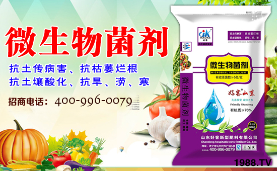 ��ɽ�|�ÿ͡�ף�����������w�������f��������